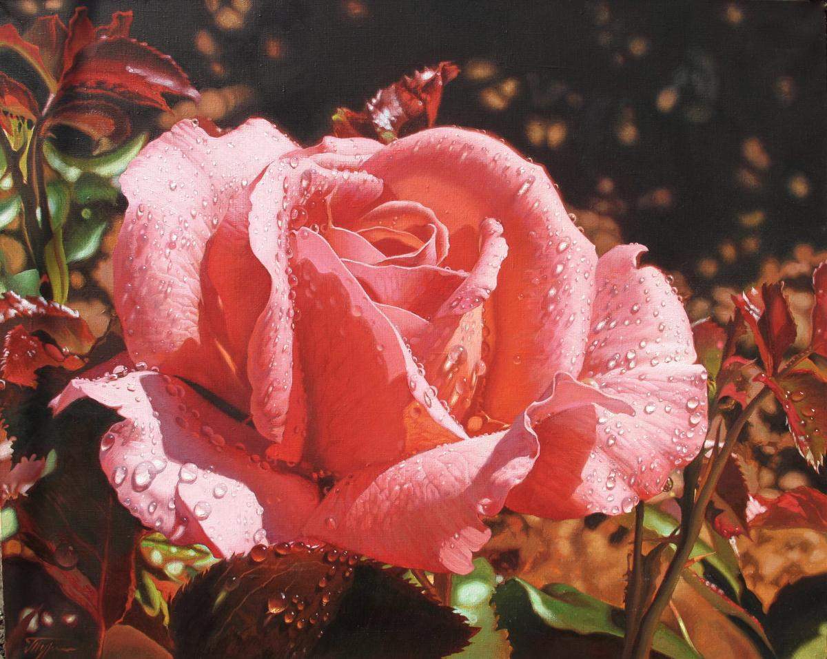 Pink Rose, oil on canvas, 24.02"h x29.92"w (61x76cm), 2013